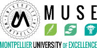 Logo MUSE EN Original web