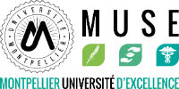 Logo MUSE Original web