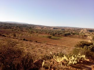 Entre agriculture irrigue et pluviale Amont du bassin versant de Mergullil Houssem Braiki