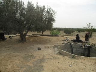 Installation forage illicite Plaine de Kairouan Tunisie Amal Azizi