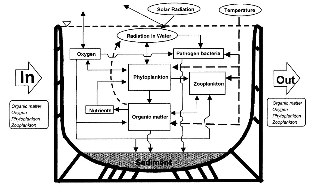 schema friedler web