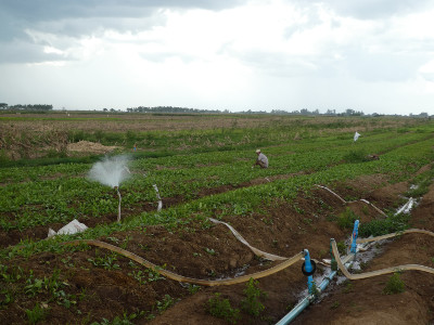 irri cambodge