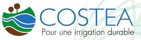 logocostea