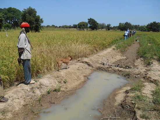 img2 Generia Burkina