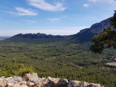 Pic Saint Loup fiche