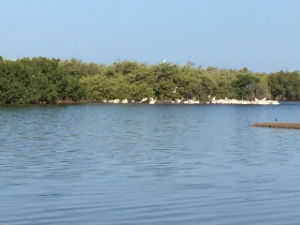 fleuve senegal1