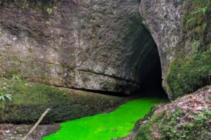 NUTRI-Karst - Impact des activités anthropiques sur les transferts d’eau et de NUTRIments dans les bassins KARSTiques du massif du Jura -