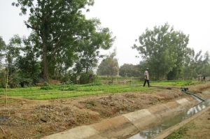 Irrgation near Mogtedo reservoir, Burkina Faso