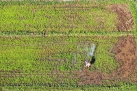 Wat-Health - Eau et risques sanitaires au Cambodge