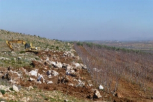 Dépierrage pour plantation de pommiers en intensif dans le Moyen Atlas au Maroc 