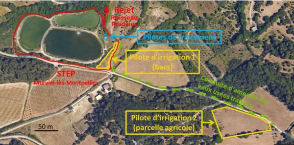 Situation dispositif