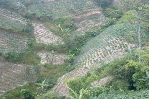 Amélioration des conditions d&#039;accès à l&#039;eau et de sa valorisation agricole sur les zones irriguées dans la région de Klaten - DANONE KLATEN