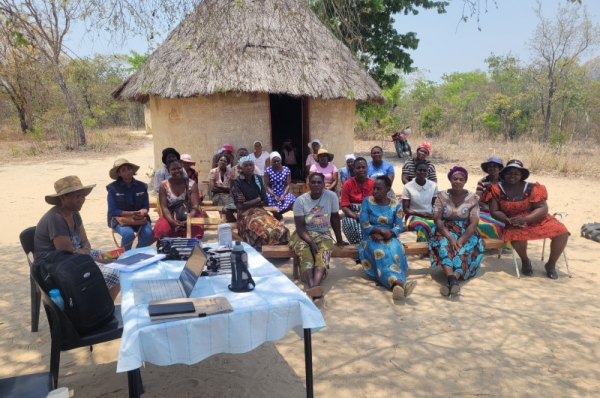 Economic field testing in Zimbabwe