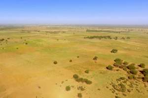 Perspectives des cultures de décrue dans la vallée du Sénégal