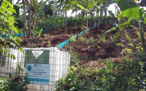 LESELAM, lutte contre l’Erosion des Sols et l’Envasement du Lagon à Mayotte