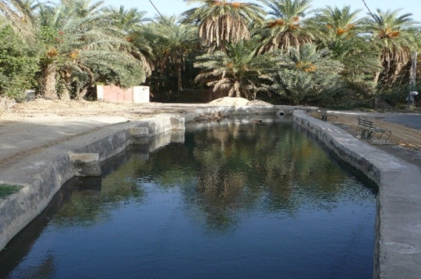 Oasis en Kébili