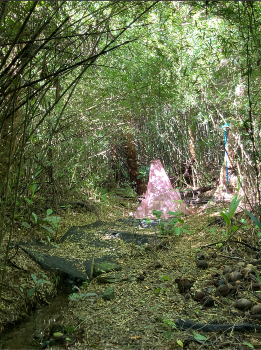 nvelle caledonie peytavi 1