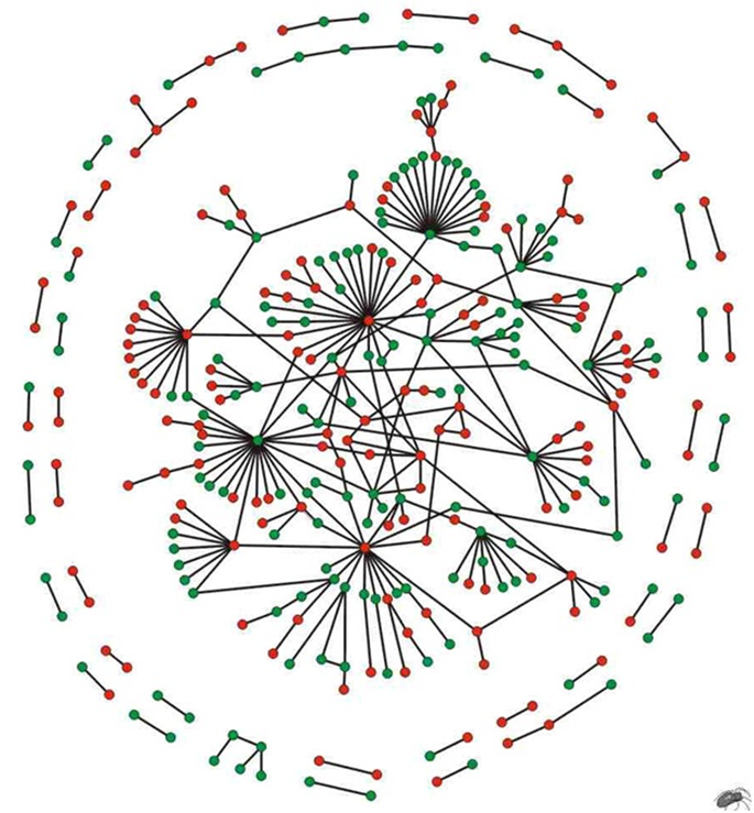 schema whalley