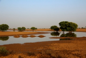 GENERIA Sénégal : Gestion des nouveaux risques et opportunités pour les cultures de décrue en zone sahélienne