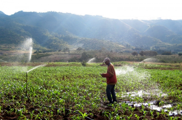 Studying African Farmer-Led Irrigation (SAFI)